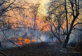 Forest Fire in Southwestern France Stops Spreading