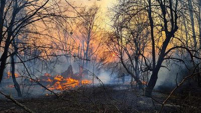 Forest Fire in Southwestern France Stops Spreading