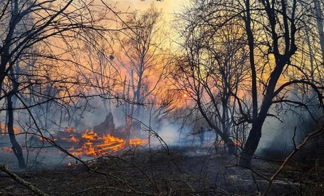 Forest Fire in Southwestern France Stops Spreading