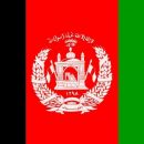 Pakistani Senior Militant Commander Killed in Afghanistan Attack