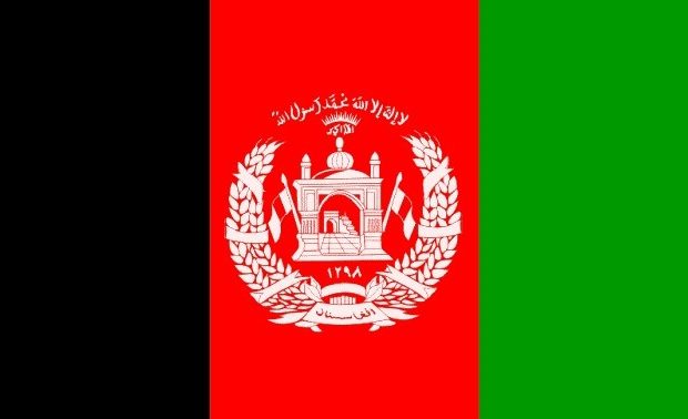 Pakistani Senior Militant Commander Killed in Afghanistan Attack