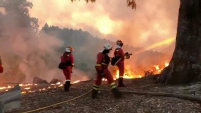 Forest Fires in Bordeaux Under Control After Two Weeks