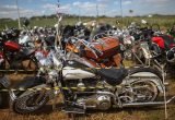 More Expensive Motorcycles Drive Sales and Profits for Harley-Davidson