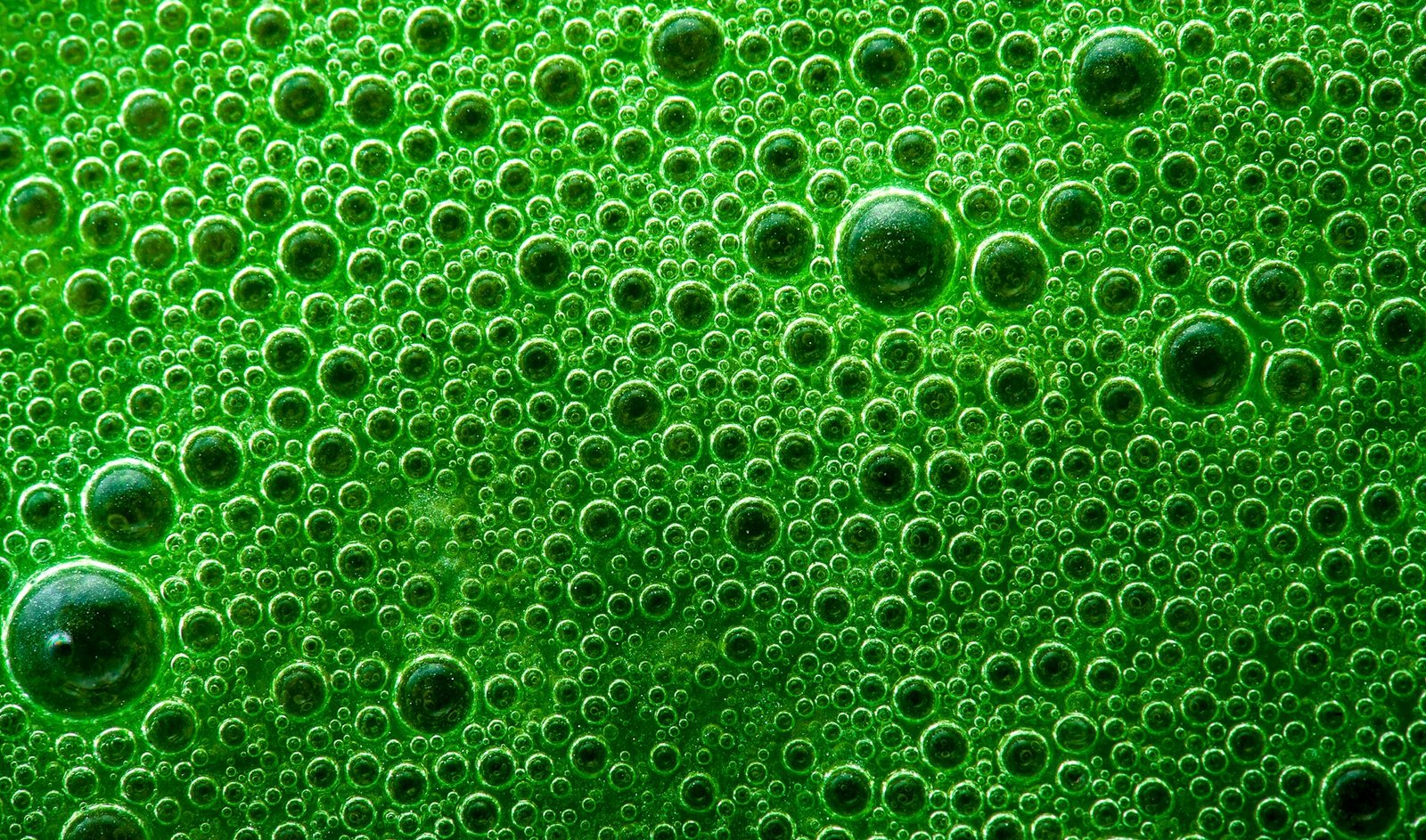 UAE Invests Heavily in Green Hydrogen Technology